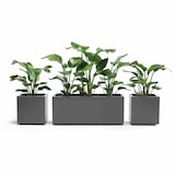 thumbnail of EURO3PLAST Kasten GREENER KEBE 100 cm anthrazit 315462