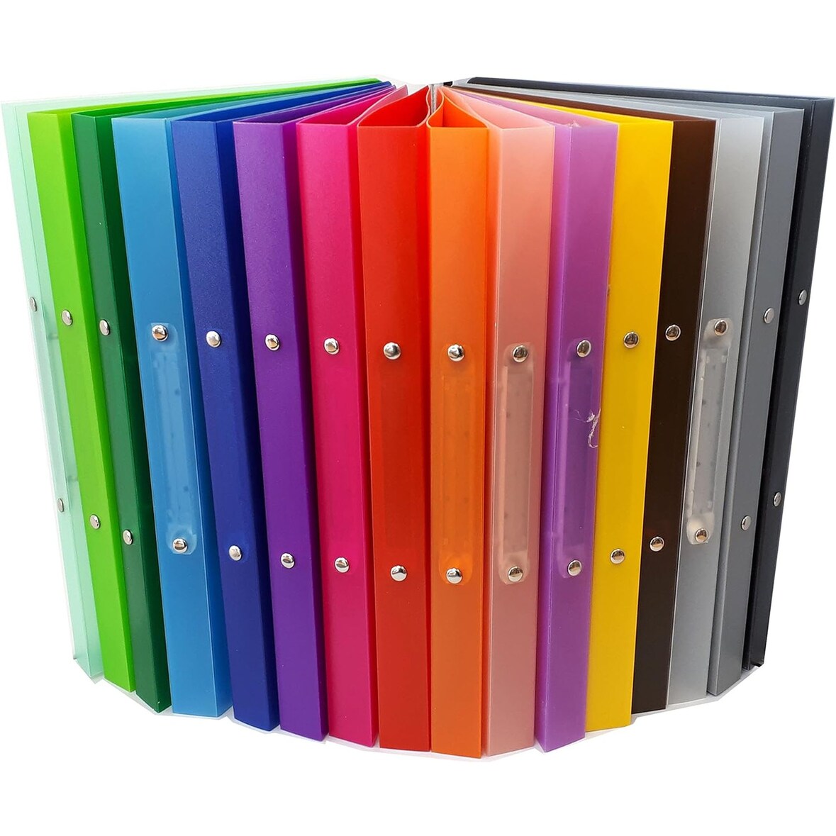 Brunnen 16 x Ringbuch Fact! A4 16mm 2 Ringe 1065516 farbig sortiert