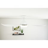 thumbnail of Energiespar Deckenventilator Raja 122 cm mit LED 122
