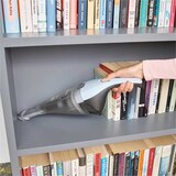 thumbnail of Black & Decker NVC215W Handstaubsauger Blau, Grau Beutellos