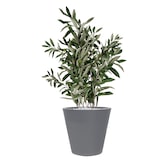 thumbnail of WellHome - Blumentopf "Corsican Collection", Ø50cm, grau