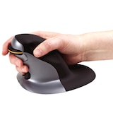 thumbnail of Mouse Vertical Fellowes Penguin com Wireless