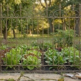 thumbnail of CLP Gartenzaun Mangold Metall HBT: 116x124x1 cm bronze