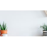thumbnail of TFT AOC 24B2XHM2 60cm (24")LED,HDMI,VGA,SP