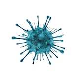 thumbnail of Spray désinfectant bactéricide fongicide virucide - 750ml - L'ELFE