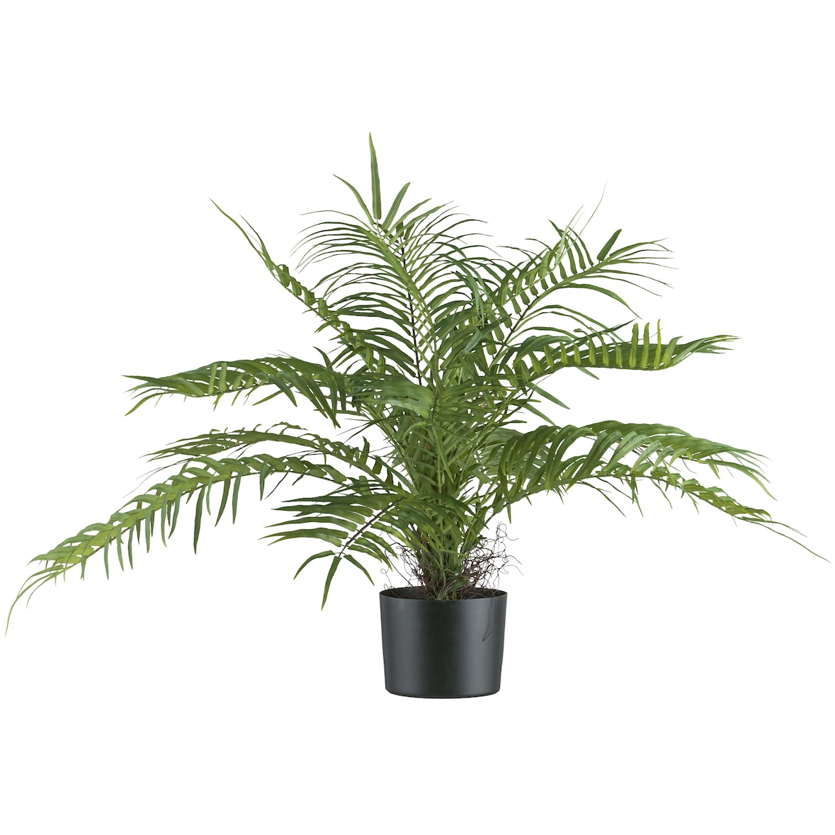 CREATIV green künstliche Pflanze Areca Palmbusch, 70cm, schwer entflammbar