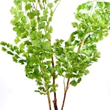 thumbnail of Kunstpflanze Topfpflanze Zimmerpflanze Künstlich Gingko grün H 110 cm