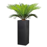 thumbnail of Scheurich C-Cube High 70, vase/pot à fleurs/jardinière, carré, coloris: Stony Black, fabriqué avec du plastique recyclé, pour l’extérieur