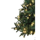 thumbnail of Tarrington House Albero di Natale illuminato, metallo/pvc, Ø 150 x 210 cm, con 300 luci LED, verde