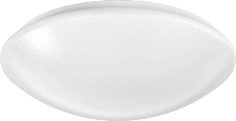 Ridi-Leuchten LED-Wand-u.Deckenleuchte RUFO-ECO2 #0420891 | METRO