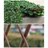 thumbnail of Celosia Extensible de Mimbre -  Hoja Sauce -