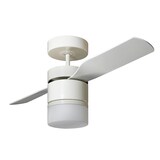 thumbnail of Deckenventilator Multimax mit Licht und Fernbedienung 132