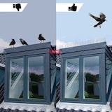 thumbnail of Remi Hogar 5 Metros Pinchos Antipalomas | 10 Tiras de 50cm Montadas con Base Transparente |Púas para Palomas de Acero Inoxidable