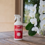 thumbnail of Remi Hogar Repelente para Reptiles | Serpientes Lagartijas Salamanquesas Geckos | Spray Deshabituante | Sin venenos 750 ml