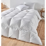 thumbnail of Edredon SNUG | Penas (240X220)