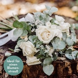 thumbnail of VOSTEEN 4 Stück Eukalyptuszweige - konservierte Trockenblumen für Tischdeko, Hochzeitsdeko & Events - natürliche, langlebige Dekoration