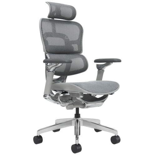 Ergonomischer Bürostuhl / Bürodrehstuhl mit Kopfstütze und Lendenwirbelstütze Business Chair, grau (1 Stück)