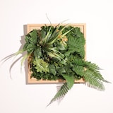 thumbnail of CUADRO VEGETAL ARTIFICIAL Naturing Monde NATACHA - 33 x 33 cm