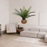 thumbnail of WellHome - Künstlicher Palmentopf 55x50cm