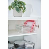 thumbnail of EMSA Clip & Close GLAS Frischhaltedose, Vorratsbehälter, Vorratsdose, Transparent / Rot, 0.8 L, N10414