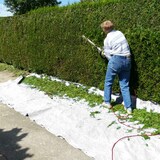 thumbnail of ECD Germany Abdeckplane Gewebeplane mit Ösen 2x3 m 6m² 180g/m² Weiß aus Polyethylen Schimmelresistent Wasserdicht Reißfest Schutzplane Bootsplane
