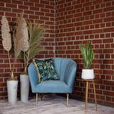 thumbnail of 2er-Set Bogenhanf - Sansevieria trifasciata 'Laurentii' - Höhe ca. 65 cm, Topf-⌀ 17 cm