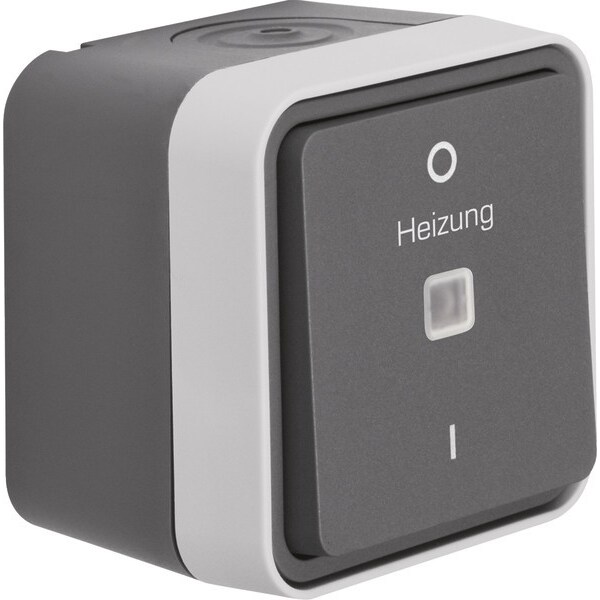 Berker Kontroll-Ausschalter 35623505