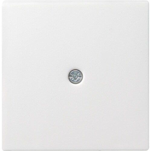 System 55 Zentralplatte, Kabelauslass, reinweiß, Befestigung mit Schraube, ohne Beschriftungsfeld, 27427