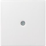 thumbnail of System 55 Zentralplatte, Kabelauslass, reinweiß, Befestigung mit Schraube, ohne Beschriftungsfeld, 27427