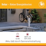 thumbnail of Paulmann Solar LED Pollerleuchte Soley Bewegungsmelder IP44 3000K 42lm Anthrazit 94252