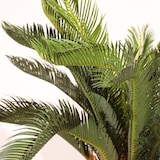 thumbnail of Piante artificiali Naturing Monde Cyca 105cm