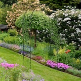 thumbnail of Relaxdays Rosenbogen Metall, Torbogen Garten, HxBxT: 227 x 114 x 37 cm, stabiler Rankbogen für Kletterpflanzen, schwarz