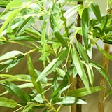 thumbnail of HOMCOM 2 piezas plantas artificiales con maceta plantas sintéticas de bambú con 498 hojas para decoración en salón oficina casa Ø15x120 cm verde