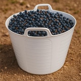 thumbnail of Confezione da 5 secchi di plastica flessibile per alimenti (bianco, 42l) - Senza BPA. Ideale per ristoranti, cucine, catering, enoteche...