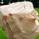 thumbnail of Rosenvlieshauben 17g, Maße: 0,75x0,75m, 5 Stück im Paket