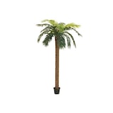 thumbnail of EUROPALMS Phönix Palme deluxe, Kunstpflanze, 250cm