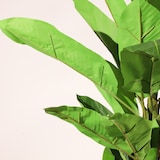 thumbnail of Pianta artificiale ignifuga Banano 220 cm | Naturing Monde - Interno - Fusto naturale