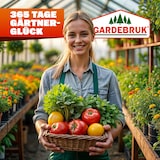 thumbnail of GARDEBRUK® Gewächshaus Aluminium 7,2m² mit Fundament 380x190cm inkl 4 Dachfenster Treibhaus