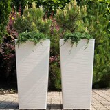 thumbnail of SIENA GARDEN  Nizza Pflanzgefäß Nizza, weiß Rillenoptik, 30x30x57 cm