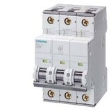 thumbnail of Siemens 5SY43107 5SY4310-7 Leitungsschutzschalter 10 A 230 V, 400 V