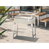 thumbnail of METRO PROFESSIONAL Holzkohlegrill Zondaro, 58 x 31 cm, mit drehbares Spießsystem, Edelstahl, silber