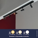 thumbnail of Spoterie OMARI 5-Spot Métal Noir, H.7.5 - IP20 - LED Module / Intérieur