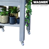 thumbnail of WAGNER Design - Lenkrollen soft 4tlg. Set - Ø 50 mm, Stahl verzinkt, Anschraubwinkel, Tragkraft je 50 kg - 02315000