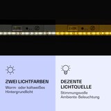 thumbnail of Wondersky Decken-Infrarotheizstrahler 700W 60 x 6 x 120 cm (BxHxT)  IP44 Weiß