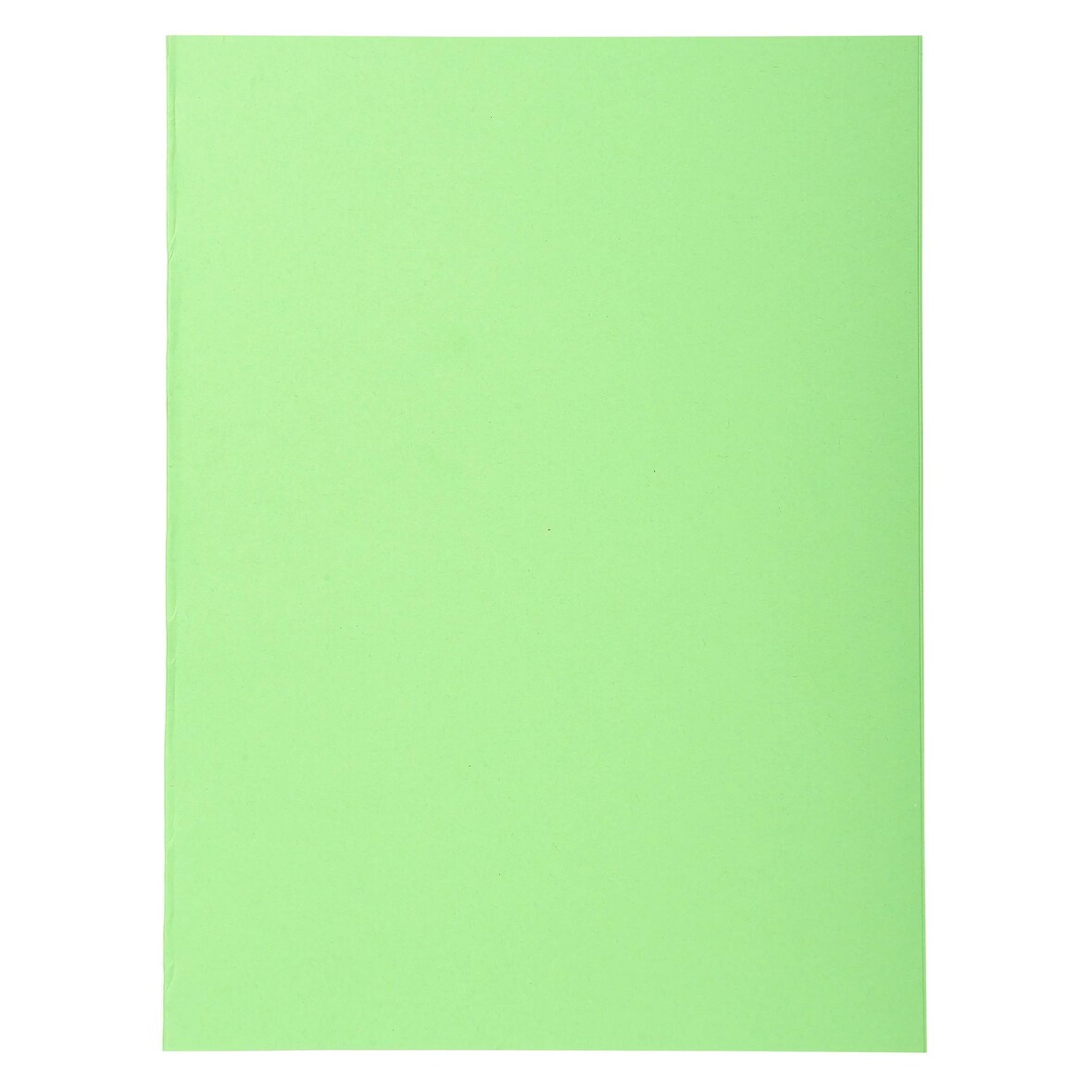 Exacompta 410013E 5x 100er Packung Aktendeckeln aus Recycling Karton 220g Forever, 24x32cm - grün