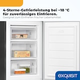 thumbnail of Exquisit Gefrierschrank GS81-040B inoxlook-az | 87 l Nutzinhalt, Energieeffizienzklasse B, 37 dB, 3 Gefrierschubladen, 4-Sterne-Gefrierteil
