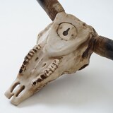 thumbnail of Décoshop26 - Tête de taureau décoration murale 31 cm trophée longhorn avec tribal en polyrésine intérieur/extérieur naturel 04_0002847