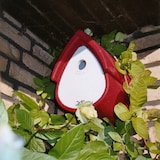 thumbnail of Nisthöhle Meisenresidenz