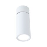 thumbnail of Paulmann Plafonnier LED 3-Step-Dim Turnal  Coin 2700K 470lm 230V 6W gradable Blanc dépoli 93087