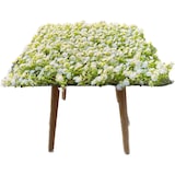 thumbnail of GeckoWall "KIEL" | Premium Blüten weiß Pflanzenwand  | Gastronomie Blumenwand Wandverkleidung | weiße Kunstpflanzen Wandmontage |Wandpaneele künstlich